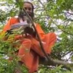 Lakhimpur - Lakhimpur Kheri: पेड़ पर चढ़कर साधु ने दी आत्महत्या करने की चेतावनी, जानिए क्या है वजह