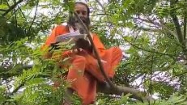 Lakhimpur - Lakhimpur Kheri: पेड़ पर चढ़कर साधु ने दी आत्महत्या करने की चेतावनी, जानिए क्या है वजह