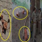 Aligarh - Aligarh News: रील ने तालसपुर में तीसरे दिन फिर कराया पथराव, 11 गिरफ्तार, एसओ रोरावर किए निलंबित