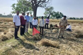 AmbedkarNagar: - AmbedkarNagar: केसीसी से 1.43 लाख का लिया था ऋण, जमा न कर पाने पर खेत कुर्क; फसल काटने पर भी रोक की चेतावनी