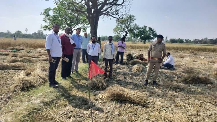 AmbedkarNagar: - AmbedkarNagar: केसीसी से 1.43 लाख का लिया था ऋण, जमा न कर पाने पर खेत कुर्क; फसल काटने पर भी रोक की चेतावनी