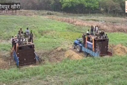 Lakhimpur - Lakhimpur Kheri: दुधवा की टीम ने तीन गैंडों का किया रेस्क्यू, जंगल में किया आजाद