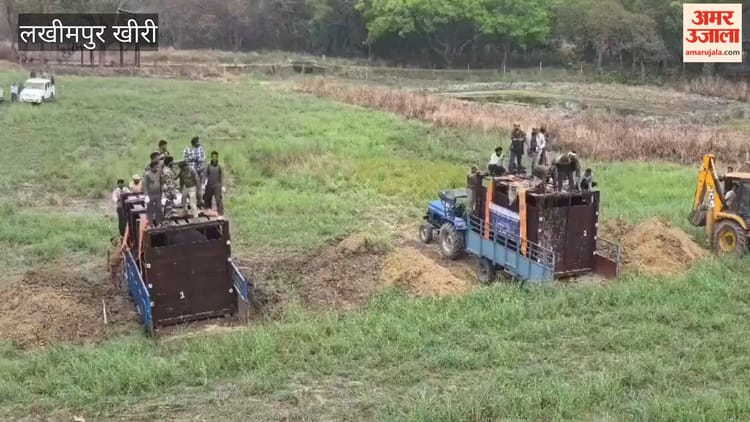 Lakhimpur - Lakhimpur Kheri: दुधवा की टीम ने तीन गैंडों का किया रेस्क्यू, जंगल में किया आजाद
