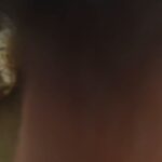 Video: - Video: लखीमपुर खीरी में हमलावर तेंदुए को लोगों ने पकड़ा, रस्सी से बांधा