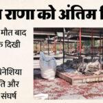 Harish - Harish Rana Dead: 'परमपिता अब और नहीं, मुझसे देखा नहीं जा रहा'; हरीश की मौत के बाद पिता के शब्द