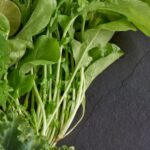 सेहत - सेहत पर संकट: स्वास्थ्य के लिए हानिकारक बना रहा अपशिष्ट जल, सिंचाई से सब्जियों को पर जमा हो रहा खतरनाक रसायन