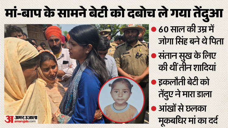 UP: मन्नतों - UP: मन्नतों के बाद मिली थी इकलौती संतान, तेंदुए ने ले ली जान; बूढ़े माता-पिता पर टूटा दुखों का पहाड़
