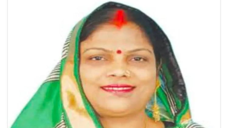 UP News: - UP News: धोखाधड़ी के मामले में पूर्व नगर पंचायत अध्यक्ष को जेल, कोर्ट ने खारिज की अंतरिम जमानत