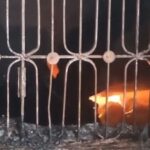 Aligarh: - Aligarh: पत्नी गई तहरीर लिखाने, पति सिलिंडर में आग लगाकर हुआ फ़रार, अंदर अकेला रह गया बेटा