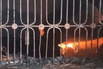 Aligarh: - Aligarh: पत्नी गई तहरीर लिखाने, पति सिलिंडर में आग लगाकर हुआ फ़रार, अंदर अकेला रह गया बेटा