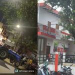 UP: थाने - UP: थाने में लगे पीपल के पेड़ से इस बात का था डर, जानें क्यों पुलिस ने इसे रातों रात कटवा दिया