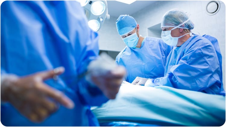 UP News: - UP News: ब्रेन डेड महिला के अंगदान से दो मरीजों को मिली नई जिंदगी, पीजीआई में हुआ किडनी का सफल प्रत्यारोपण