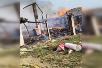 Lakhimpur - Lakhimpur Kheri: पॉल्ट्री फार्म में लगी आग, 6500 मुर्गे के चूजे और दाना जलकर खाक, 30 लाख से ज्यादा का नुकसान