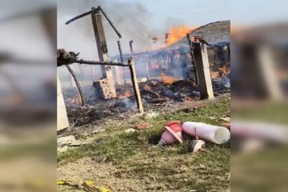 Lakhimpur - Lakhimpur Kheri: पॉल्ट्री फार्म में लगी आग, 6500 मुर्गे के चूजे और दाना जलकर खाक, 30 लाख से ज्यादा का नुकसान