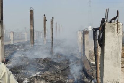 Lakhimpur - Lakhimpur Kheri News: पोल्ट्री फार्म में लगी आग, 6700 चूजे जिंदा जले