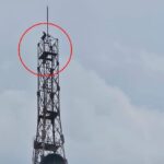 एकतरफा - एकतरफा प्यार में 'वीरू' बना रामू: मोबाइल टावर पर चढ़ा, बोला- युवती से मेरी शादी कराओ, तब नीचे उतरूंगा