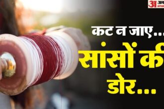 यूपी: - यूपी: प्रदेश में चाइनीज मांझे के उत्पादन और बिक्री पर हाईकोर्ट सख्त, सरकार से कहा-लगाएं पूर्ण प्रतिबंध