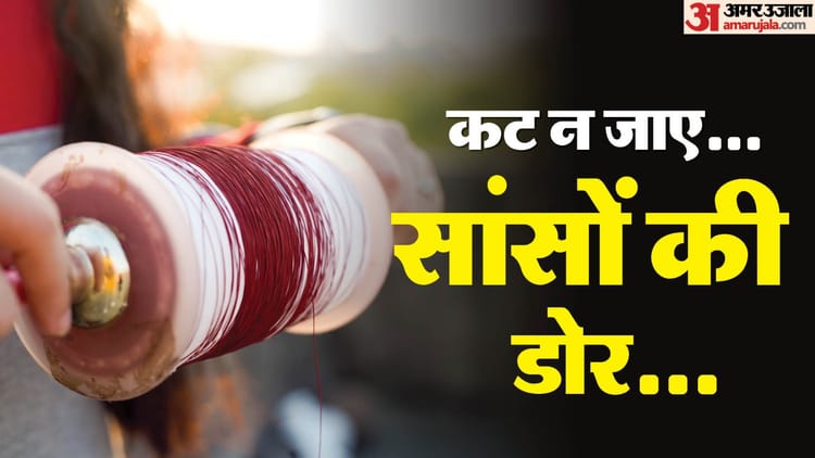 यूपी: - यूपी: प्रदेश में चाइनीज मांझे के उत्पादन और बिक्री पर हाईकोर्ट सख्त, सरकार से कहा-लगाएं पूर्ण प्रतिबंध