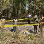 Lakhimpur - Lakhimpur Kheri: दुधवा के जंगल में ट्रेन की चपेट में आकर बाघिन की मौत, रेलवे ट्रैक के किनारे पड़ा मिला शव