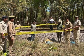 Lakhimpur - Lakhimpur Kheri: दुधवा के जंगल में ट्रेन की चपेट में आकर बाघिन की मौत, रेलवे ट्रैक के किनारे पड़ा मिला शव