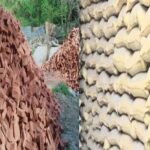 Janganana - Janganana 2026: सिविल इंजीनियर की भूमिका में दिखेंगे प्रगणक, लेंगे घर की ईंट-सीमेंट और छत के मैटेरियल का हिसाब