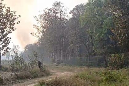 Lakhimpur - Lakhimpur Kheri News: रेंजरीपुरवा के पास जंगल धधका, ग्रामीणों ने बुझाई आग