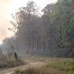 Lakhimpur - Lakhimpur Kheri News: रेंजरीपुरवा के पास जंगल धधका, ग्रामीणों ने बुझाई आग