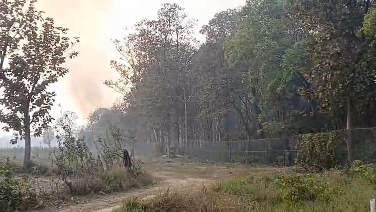 Lakhimpur - Lakhimpur Kheri News: रेंजरीपुरवा के पास जंगल धधका, ग्रामीणों ने बुझाई आग