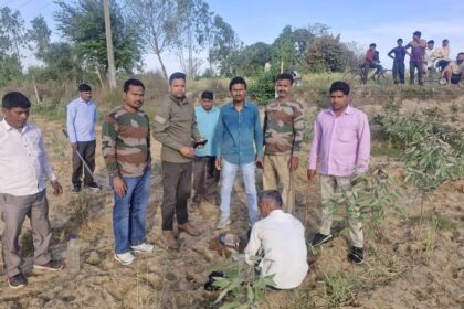 Lakhimpur - Lakhimpur Kheri News: पिंजरे-कैमरे बेअसर, बाघ अब भी पकड़ से बाहर