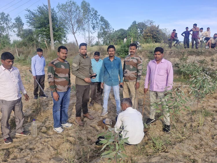 Lakhimpur - Lakhimpur Kheri News: पिंजरे-कैमरे बेअसर, बाघ अब भी पकड़ से बाहर