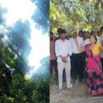 Sitapur - Sitapur News: बिजली लाइन पर काम कर रहा लाइनमैन जिंदा जला, आधे घंटे तक तार में लटका जलता रहा; देखकर कांप गए लोग