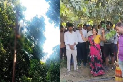 Sitapur - Sitapur News: बिजली लाइन पर काम कर रहा लाइनमैन जिंदा जला, आधे घंटे तक तार में लटका जलता रहा; देखकर कांप गए लोग