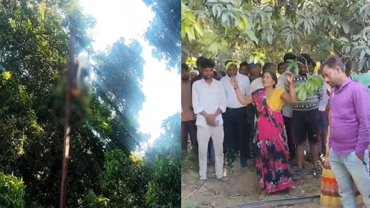 Sitapur - Sitapur News: बिजली लाइन पर काम कर रहा लाइनमैन जिंदा जला, आधे घंटे तक तार में लटका जलता रहा; देखकर कांप गए लोग
