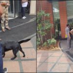 Bomb - Bomb Threat: DRDO की लैब को बम से उड़ाने की धमकी, ईमेल में स्टालिन के पोते का भी जिक्र; जानें क्या है मामला