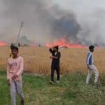Video: - Video: लखीमपुर खीरी में आग लगने से मचा हाहाकार, 81 बीघा गेहूं की फसल जलकर हुई राख