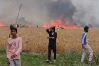 Video: - Video: लखीमपुर खीरी में आग लगने से मचा हाहाकार, 81 बीघा गेहूं की फसल जलकर हुई राख
