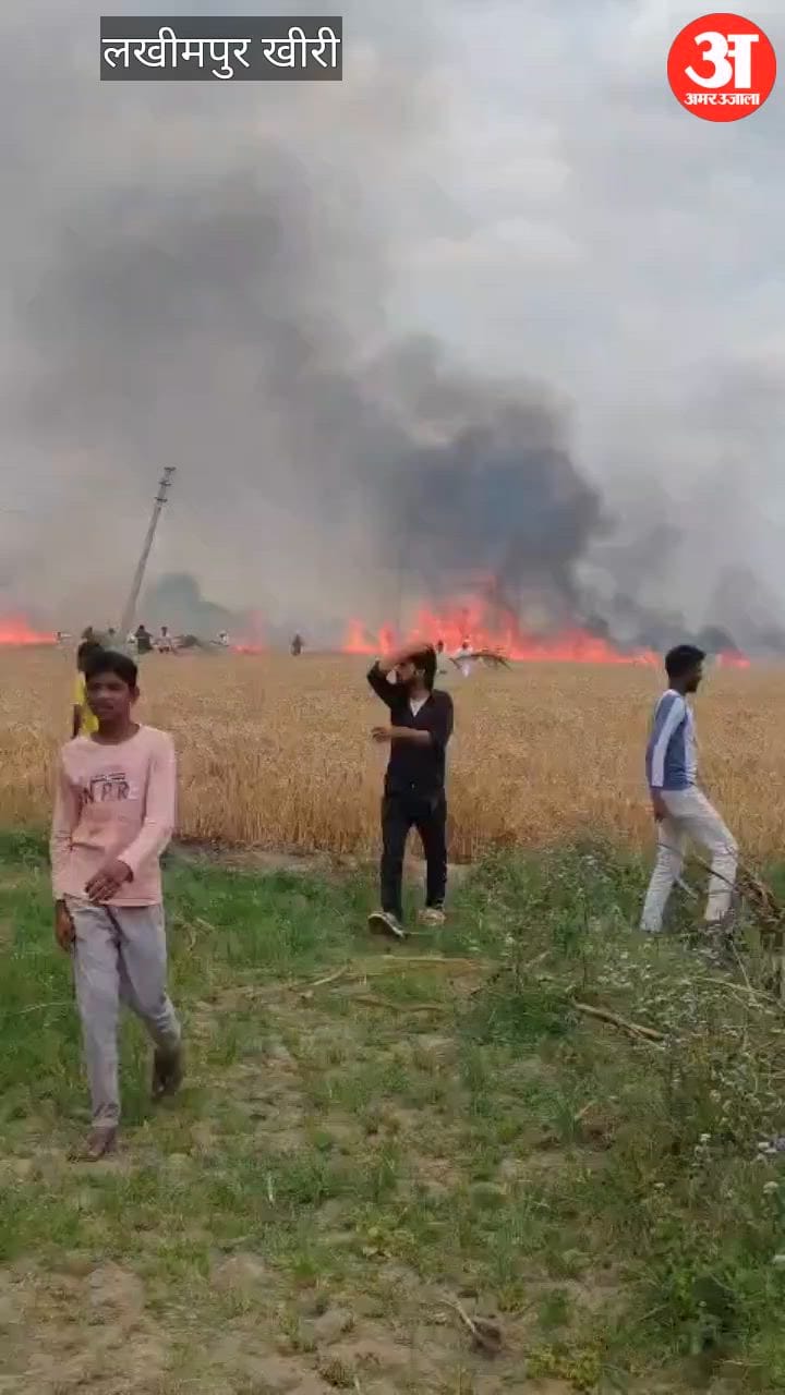 Video: - Video: लखीमपुर खीरी में आग लगने से मचा हाहाकार, 81 बीघा गेहूं की फसल जलकर हुई राख