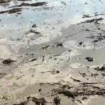 Lakhimpur - Lakhimpur Kheri: बेमौसम बारिश से खेत में भरा पानी, आहत किसान ने जोत डाली दो एकड़ गेहूं की फसल