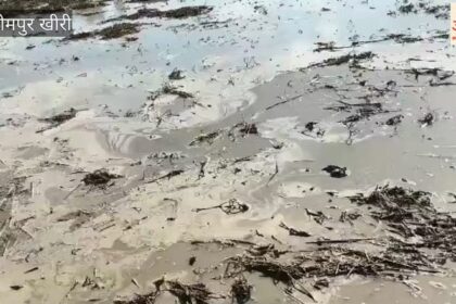 Lakhimpur - Lakhimpur Kheri: बेमौसम बारिश से खेत में भरा पानी, आहत किसान ने जोत डाली दो एकड़ गेहूं की फसल